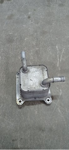 NISSAN 213055NA1A Радиатор масляный в наличии Днепр