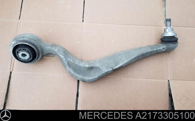 A2173305100 MERCEDES Рычаг передней подвески нижний левый купить в Украина
