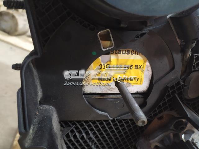 Головка блока 03G103265BX VAG