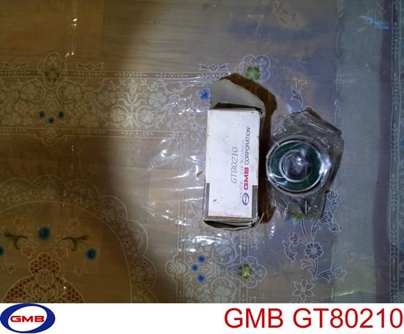 GMB GT80210 Ролик натяжителя ремня ТНВД в наличии Черкассы