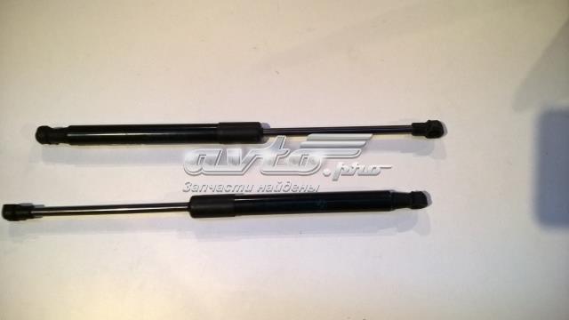 BMW 41612990344 Амортизатор капота в наличии Запорожье