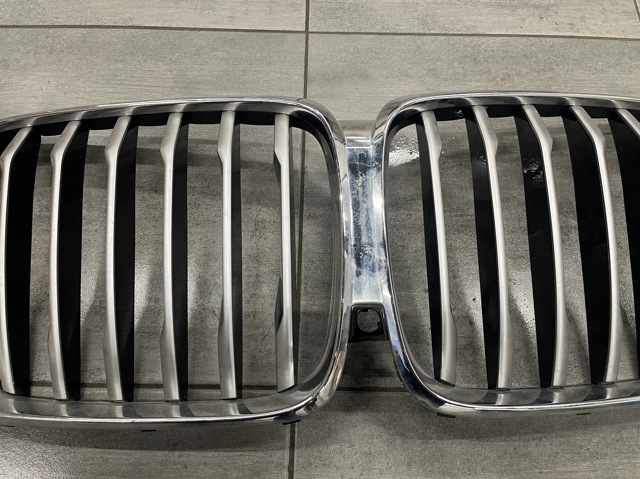 BMW 51137454887 Решетка радиатора в наличии Одесса