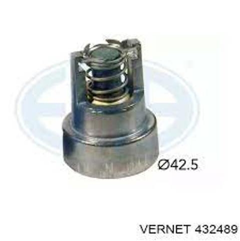 Термостат в сборе 432489 VERNET
