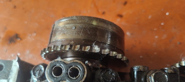TOYOTA 1305037012 Шестерня впускного распредвала в наличии Хмельницкий