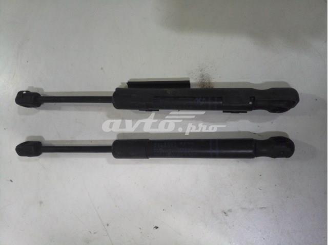 Упор капота 51237255812 BMW
