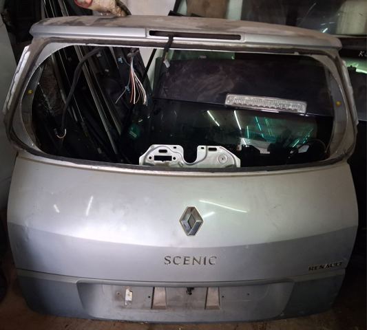 Двери Renault Scenic