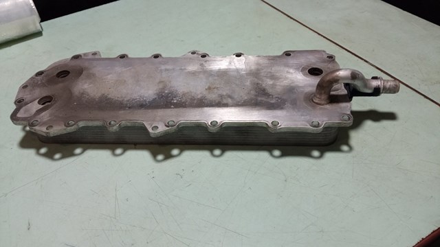 AJ811960 Радиатор масляный купить Чернигов