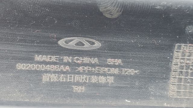 602000486AA CHERY купить в Украина