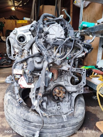 DV6C PEUGEOT Двигатель купить в Киев