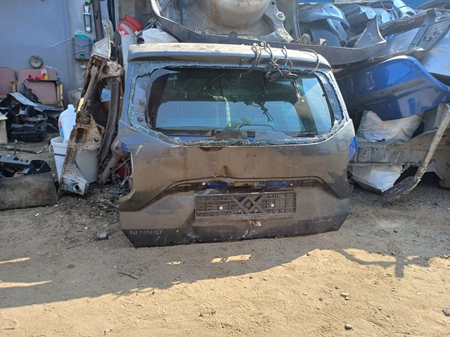 Задняя дверь 901007619R RENAULT