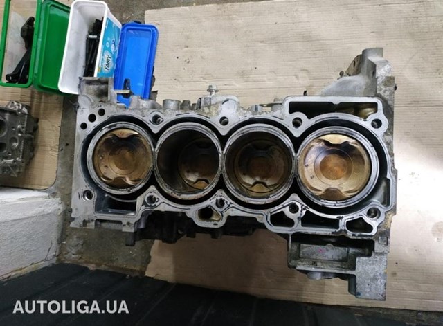 Мотор в сборе 101025HA0F NISSAN