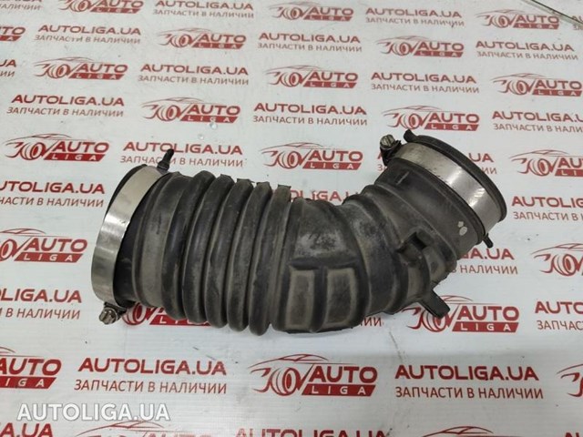 165763LS0A Nissan/Infiniti