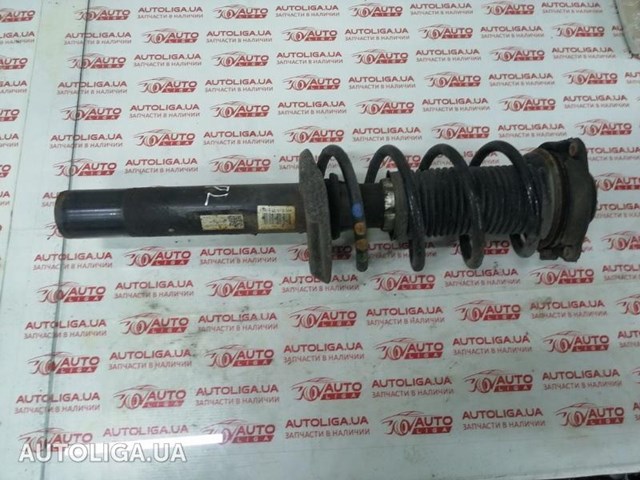 1T0413031HN VAG Амортизатор передний купить в Ужгород