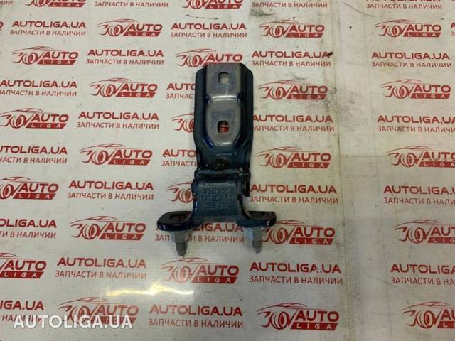 Завеса задней двери, ляды 41007350829 BMW