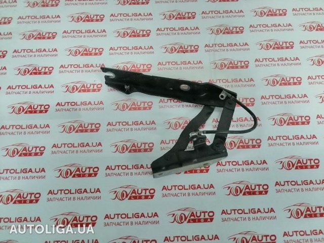 Петля капота, правая 41617120276 BMW