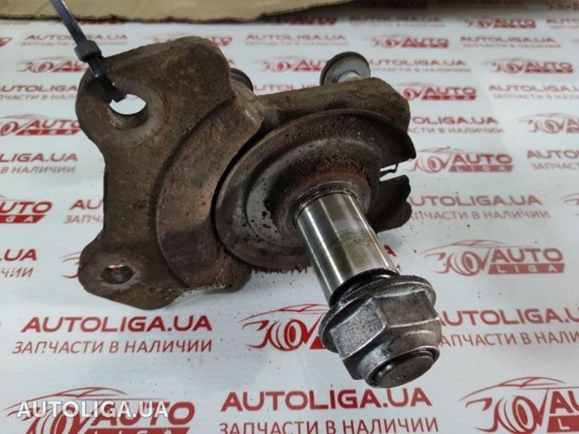Цапфа - поворотный кулак задний, левый 430190015R RENAULT