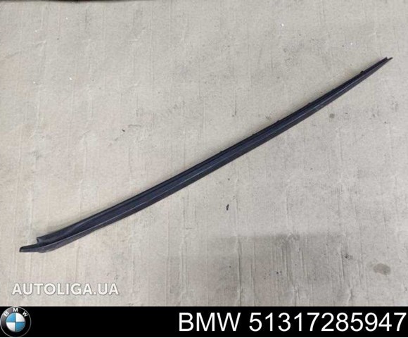 Молдинг лобового стекла, левый 51317285947 BMW