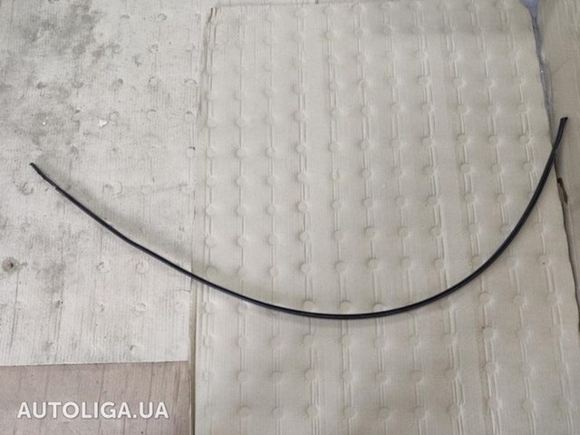 Накладка крыши левая 738533TA0A NISSAN