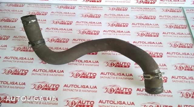 Шланг расширительного бачка, нижний 8200837190 MERCEDES