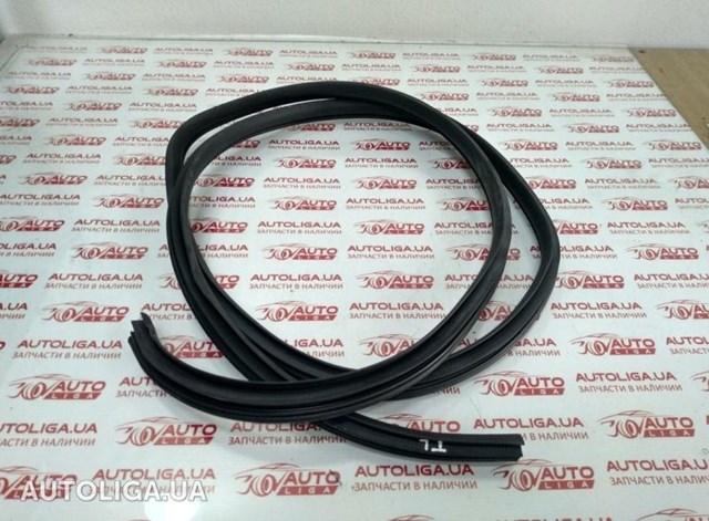 Прокладка двери задней, левой (на кузове) 831102T000 HYUNDAI