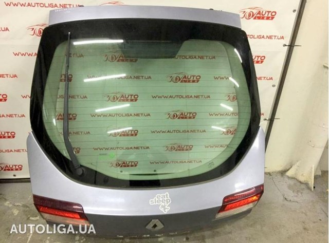 Задняя дверь 901000820R RENAULT