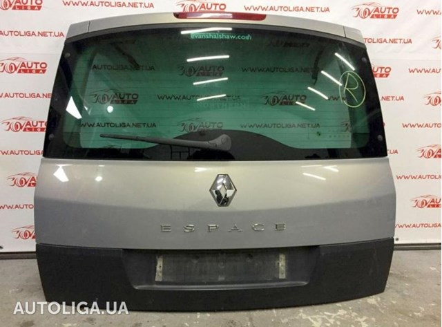 Задняя дверь 901007291R RENAULT