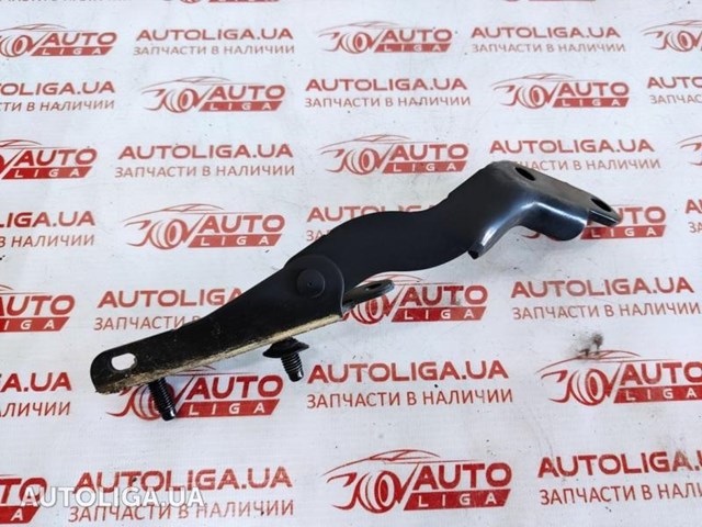 Петля задней багажной, 3/5 -ой двери 904004BA0A NISSAN