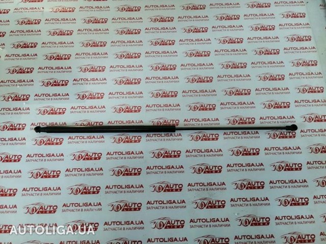 Амортизатор задней двери 904511KA1A NISSAN