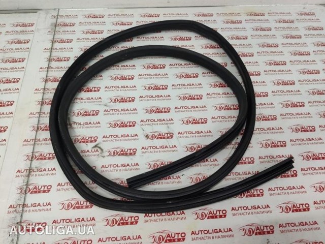 Уплотнитель двери передней, на (кузове) AM5Z5820530C FORD