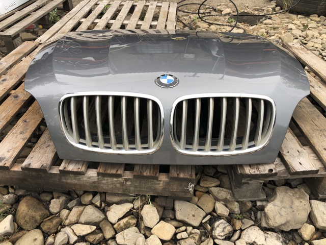 41617486754 BMW Капот купить в Запорожье