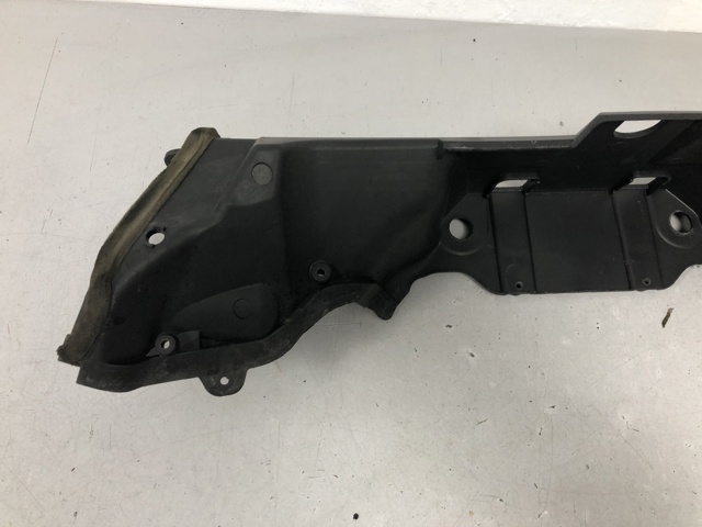 Ограждение переднее 51717169422 BMW