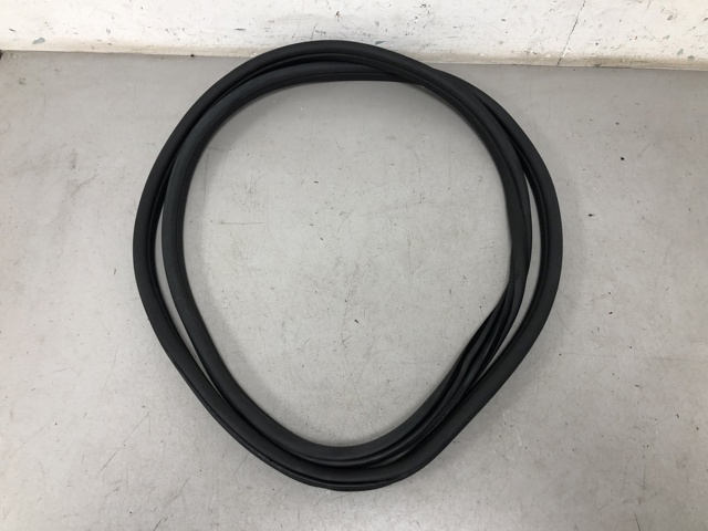 51727468928 BMW Уплотнитель двери передней (на кузове) купить в Киев