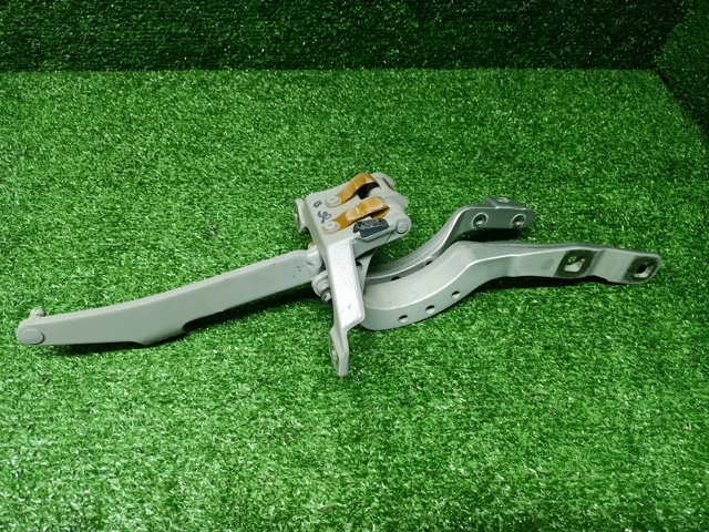 Петля крышки багажника 41627206641 BMW