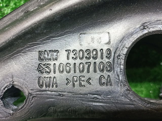 BMW 51337303919 в наличии Хмельницкий