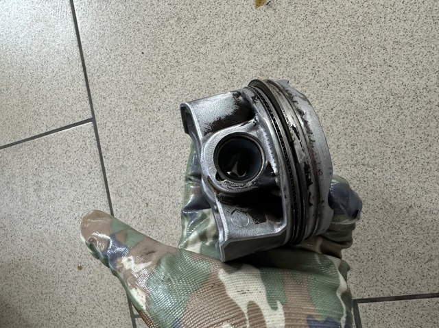 11259468869 Поршень с пальцем без колец, STD купить Украина
