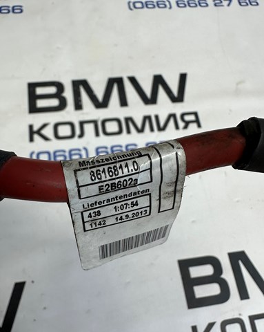 12428616810 купить Ровно