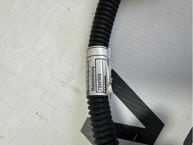12517592508 BMW купить в Житомир