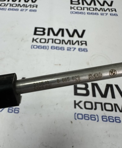13538665629 купить Чернигов