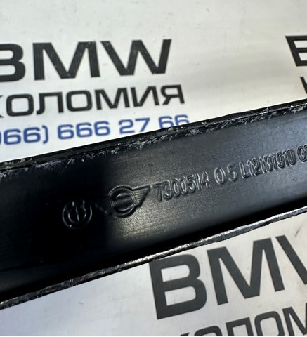16117300514 BMW Кронштейн бака топливного купить в Ровно