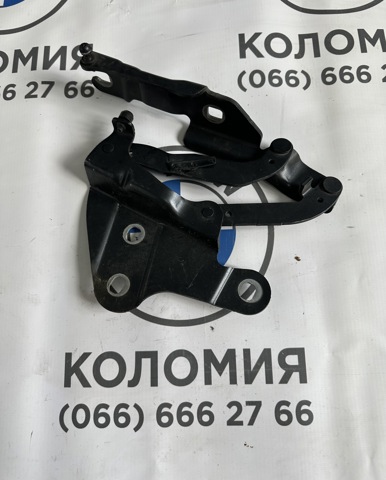Завес капота, правый 41002993150 BMW