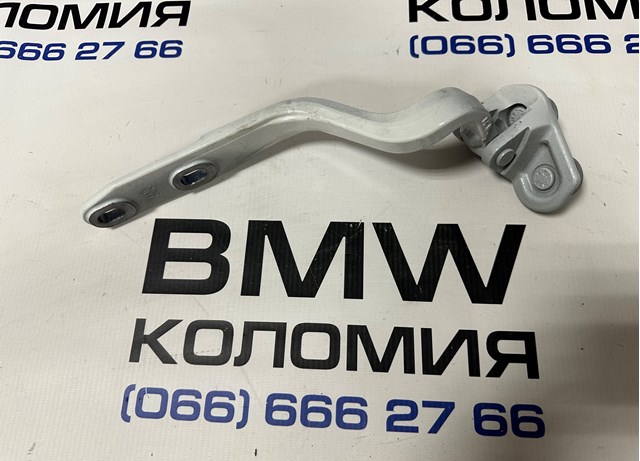 BMW 41007378802 Петля крышки багажника в наличии Павлоград