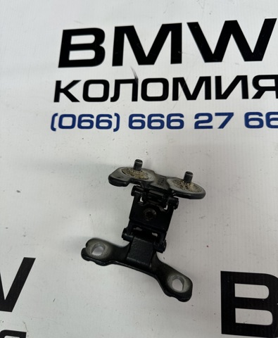 Петля двери задней (багажной 3/5-й) 41627067219 BMW