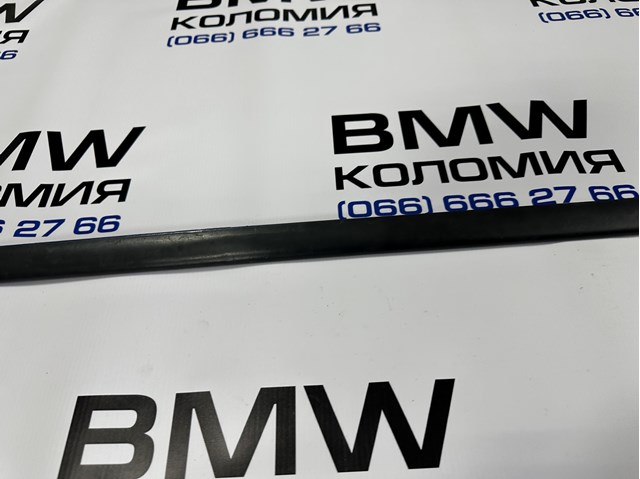 BMW 51138208450 Молдинг двери передней правой в наличии Киев