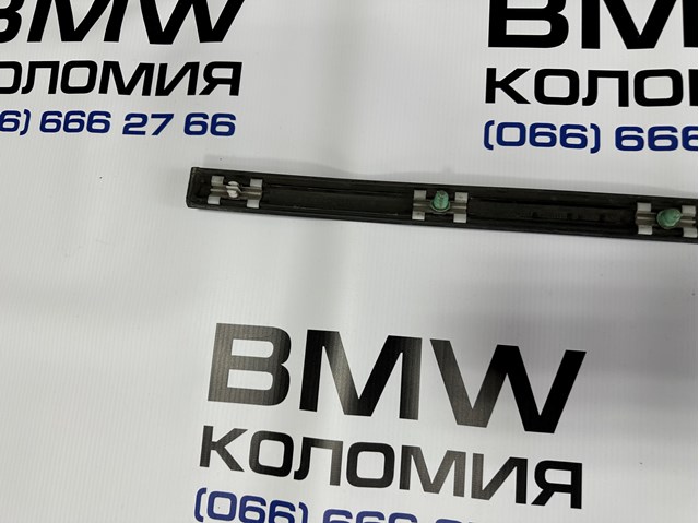 BMW 51138208450 Молдинг двери передней правой в наличии Киев