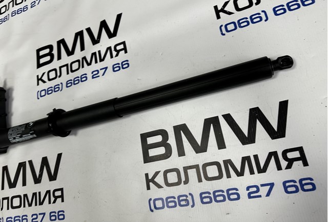 51247487576 BMW купить в Каменское