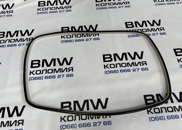 BMW 51447271396 в наличии Павлоград