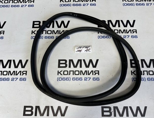 Прокладка двери задней, (на двери) 51727440034 BMW