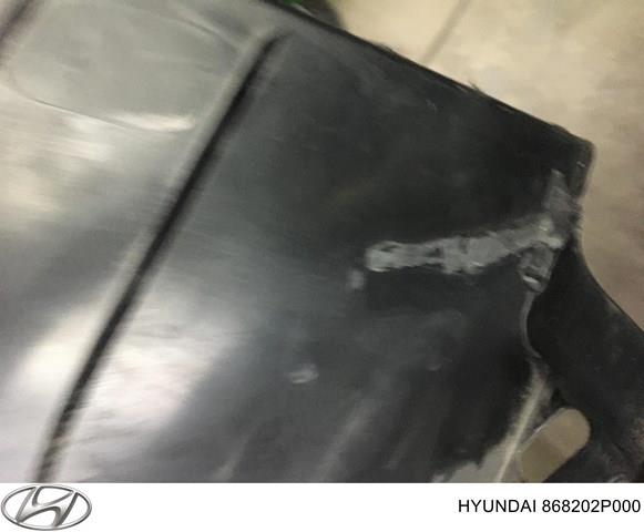 868202P000 HYUNDAI Подкрылок крыла переднего правый купить в Украина