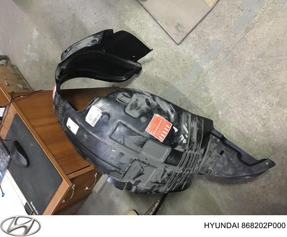 868202P000 HYUNDAI Подкрылок передний правый купить в Ровно