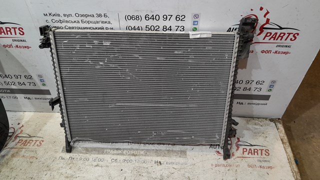 17115A383B8 BMW Радиатор охлаждения двигателя купить в Сумы